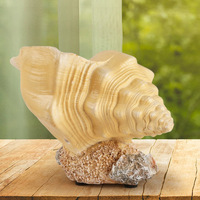 Pot de fleurs en résine imitation coquillage avec trou de drainage, écologique, style rétro pastoral, artisanat décoratif pour la maison et les voyages, capacité 3-5L