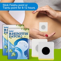 Patch Nasal Apaisant aux 6 Herbes – Patch Topique pour Apaiser et Nourrir la Peau Environnant le Nez et les Zones Exfoliantes