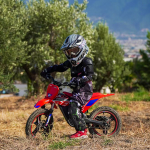 <span class=keywords><strong>Moto</strong></span> électrique à 2 roues T 36V, <span class=keywords><strong>mini</strong></span> <span class=keywords><strong>moto</strong></span> de course avec moteur de 500W, <span class=keywords><strong>Apollo</strong></span> RFN Warrior Kids SX-E500 - Product Image 4