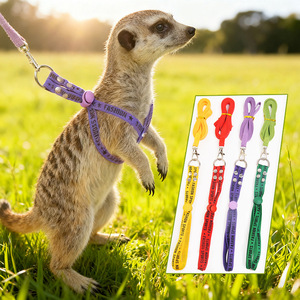 Arnés y Correa Ajustables <span class=keywords><strong>para</strong></span> Mascotas, Anti-Escape, de Nailon, <span class=keywords><strong>para</strong></span> Paseo y Entrenamiento al Aire Libre, <span class=keywords><strong>para</strong></span> Suricatas, Hurones y <span class=keywords><strong>Conejos</strong></span> - Product Image 2