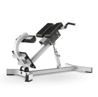Chaise romaine en acier de haute qualité commerciale solide et riche en fonctionnalités pour une utilisation en salle de sport Approvisionnement direct en usine