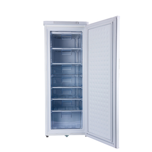 Congélateur vertical 198L à prix d'usine, vente en gros, DC 12V 24V, alimenté à l'énergie solaire - Product Image 6