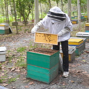 Witbee แผ่นรองพื้นพลาสติกเคลือบขี้ผึ้งสีเหลืองแบบมืออาชีพสภาพใหม่สำหรับกรอบรังผึ้งลึก - Product Image 4