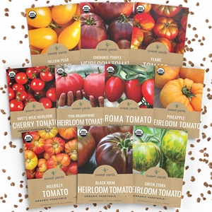 Pack de Variétés de Tomates Biologiques Saison 2025 Incluant Roma, Black Krim, Poire Jaune et <span class=keywords><strong>Ananas</strong></span> pour Plantation Intérieure et Extérieure - Product Image 2