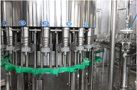 La ligne de production d'eau complète comprend soufflage/traitement de l'eau/remplissage/étiquetage/machines d'emballage