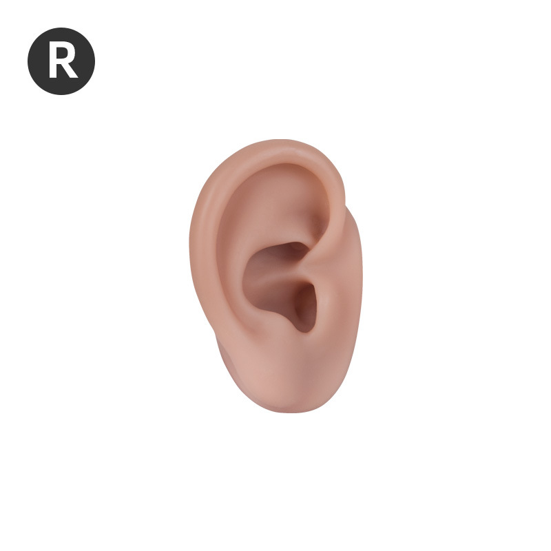 Oreja derecha - Tono de piel oscuro Oreja pequeña