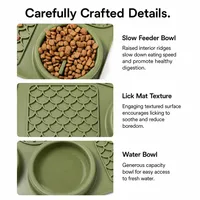 Gamelle pour chien en silicone moderne, écologique, portable, anti-déversement, avec bord rainuré, pour alimentation lente et tapis à lécher, résistante aux morsures, pour une utilisation sans souci