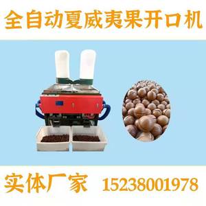 Máquina automática para romper nueces de macadamia con apertura de 360 grados para el procesamiento de nueces - Product Image 5