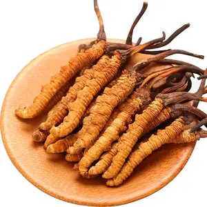 थोक सूखे रेशम Cordyceps Militaris दांग चोंग ज़िया काओ wlid codyceps sinensis