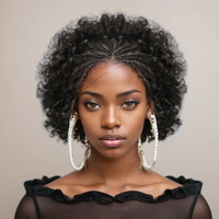 Perrque Brésilienne Remy Cheveux Humains Lisse Naturelle Dentelle Frontale Tressée Afro Kinky Bouclée Onde Bob 13x4