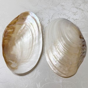 Assiette <span class=keywords><strong>de</strong></span> service en nacre naturelle écologique polie, vaisselle pour hôtel et restaurant - Product Image 2