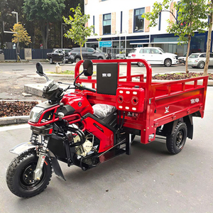 DVIP Gasolina Triciclo Motocicleta Triciclo Carga <span class=keywords><strong>para</strong></span> Carga Pesada <span class=keywords><strong>Gasoil</strong></span> 3 Ruedas Motocicleta 250cc - Product Image 1