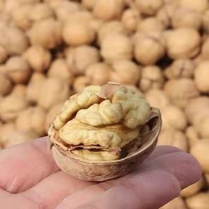 Nueces Grandes Asadas con Cáscara, Naturalmente Crujientes, con Alto Aroma, Calidad Premium para Refrigerios, Repostería, Cocina y Despensa Diaria - Product Image 5