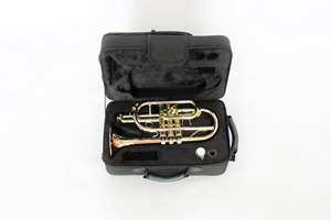 <span class=keywords><strong>Cornet</strong></span> en laiton plat doré laqué pour joueur, instrument de musique avec étui de <span class=keywords><strong>cornet</strong></span> de qualité et prix abordable, disponible à la vente (OEM) - Product Image 6