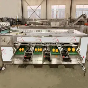 Industrial Sour Sweet Lemon Pineapple Olive Cherry Fig Fruit Size Calibrating Roller Conveyor Sorting Industrial Grader Machine