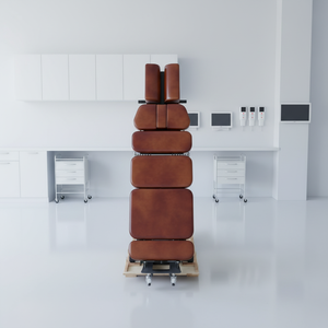 Correction par traction vertébrale, soins de massage, clinique hospitalière, alignement osseux, repositionnement des os de la taille, des épaules et des hanches - Product Image 4