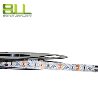 3014 120LED 6500K blanc froid IP20 led bande lumineuse pour la décoration d'escaliers de couloirs à la maison