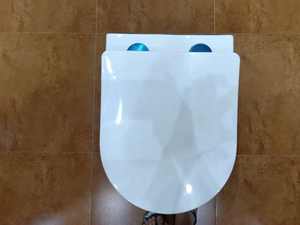 Inodoro redondo colgado en la pared Aseo WC montado en la pared Sanita de Casa de banho - Product Image 3