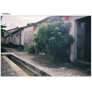 Appareil <span class=keywords><strong>photo</strong></span> jetable rétro avec flash intégré, cadeaux promotionnels en provenance de Chine - Product Image 5