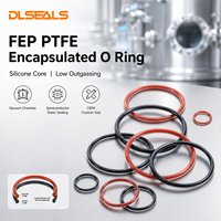 Joint torique FEP PTFE encapsulé sur mesure (ID/OD) pour chambre à vide de semi-conducteurs, faible émission de gaz, joint statique, taille personnalisée OEM