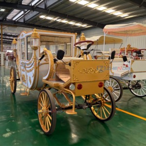 Véhicule de transport royal électrique sans chevaux, blanc et doré, de luxe, fermé, spécial mariage, pour complexe hôtelier et parc à thème, en gros - Product Image 6