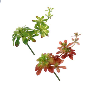 Plantes grimpantes artificielles en plastique <span class=keywords><strong>Lithops</strong></span>, succulentes écologiques, fournitures créatives DIY, accessoires muraux végétaux, fleurs - Product Image 1