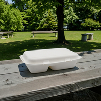 Boîte à lunch à 2 compartiments de 9x6 pouces écologique et jetable en bagasse de canne à sucre
