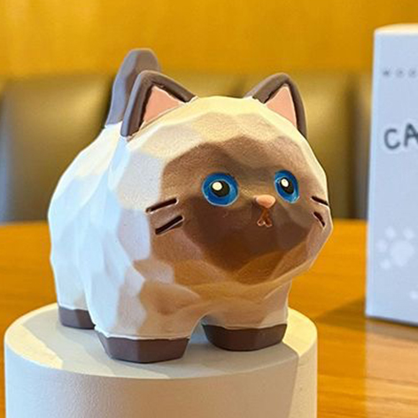 cat 6