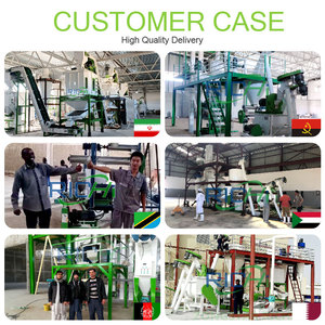 آلة تصنيع أعلاف الدواجن والدجاج المخصصة المحترفة ريتشي للبيع - Product Image 4