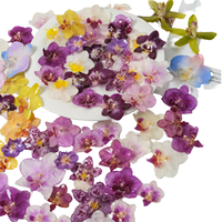 Vente flash : Kits de fleurs séchées pressées pour Halloween, diverses créations artistiques DIY, scrapbooking, résine époxy, moules à bijoux, bougies/savons