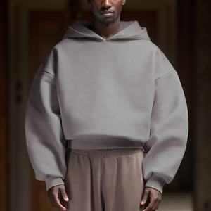 Custom Embroidery French Terry <strong>Hoddie</strong> 400 450 500 600 Gsm Heavyweight Boxy Cropped 450gsm Loose Fit Cotton Men Winter Hoodies - Product Image 1