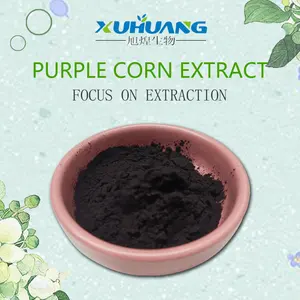 High Quality Purple Corn Extract Powder