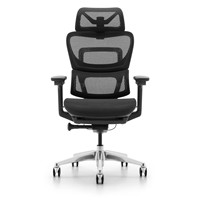 Fauteuil de bureau ergonomique réglable, 2 pièces, accoudoir en maille 4D, haute qualité, style vintage