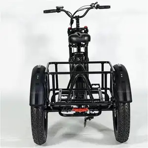 High Performance Outside Frame Body 3 Wheel Electric Tricycle 180*80*110cm 3 Wheel Adult Electric Tricycle