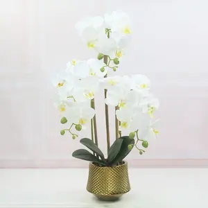 Kunstmatige Vlinder Orchideeën