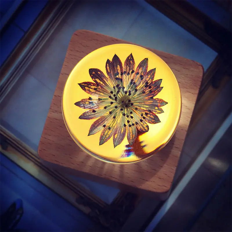 Flor en base de madera novedad luz corporativo de lujo Oficina regalo para jefe de oficina cosas empleado hombre de negocios colega