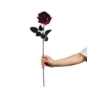 Rose artificielle Greenway rouge foncé en PVC, tige entière, arrangement floral décoratif pour les fêtes et les festivals - Product Image 5