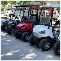 Voiturette de golf électrique à batterie au plomb-acide mini haute vitesse homologuée pour la route, 2 places, Club Car, pour la chasse, batterie 48v, aluminium, 90km, CE, queue
