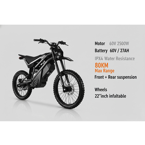 Nouvelle Moto Tout-Terrain Électrique 2026 2500W, Vitesse Maximale 70km/h, Batterie Amovible 60V 27Ah, Pneus Tout-Terrain - Product Image 1