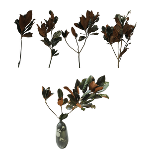 2023 nuevo producto preservado <span class=keywords><strong>Magnolia</strong></span> <span class=keywords><strong>Grandiflora</strong></span> flor hoja plástico Mesa decoración boda centro de mesa Día de la madre graduación - Product Image 1