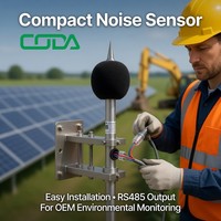 Capteur de bruit numérique professionnel CDW-13B avec sortie RS485 Modbus pour projets de surveillance environnementale OEM