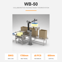 Robot d'emballage collaboratif WB-50, robot d'emballage de colis de 50 kg, robot de préhension et d'emballage en carton, préhenseur à vide pour l'emballage de boîtes