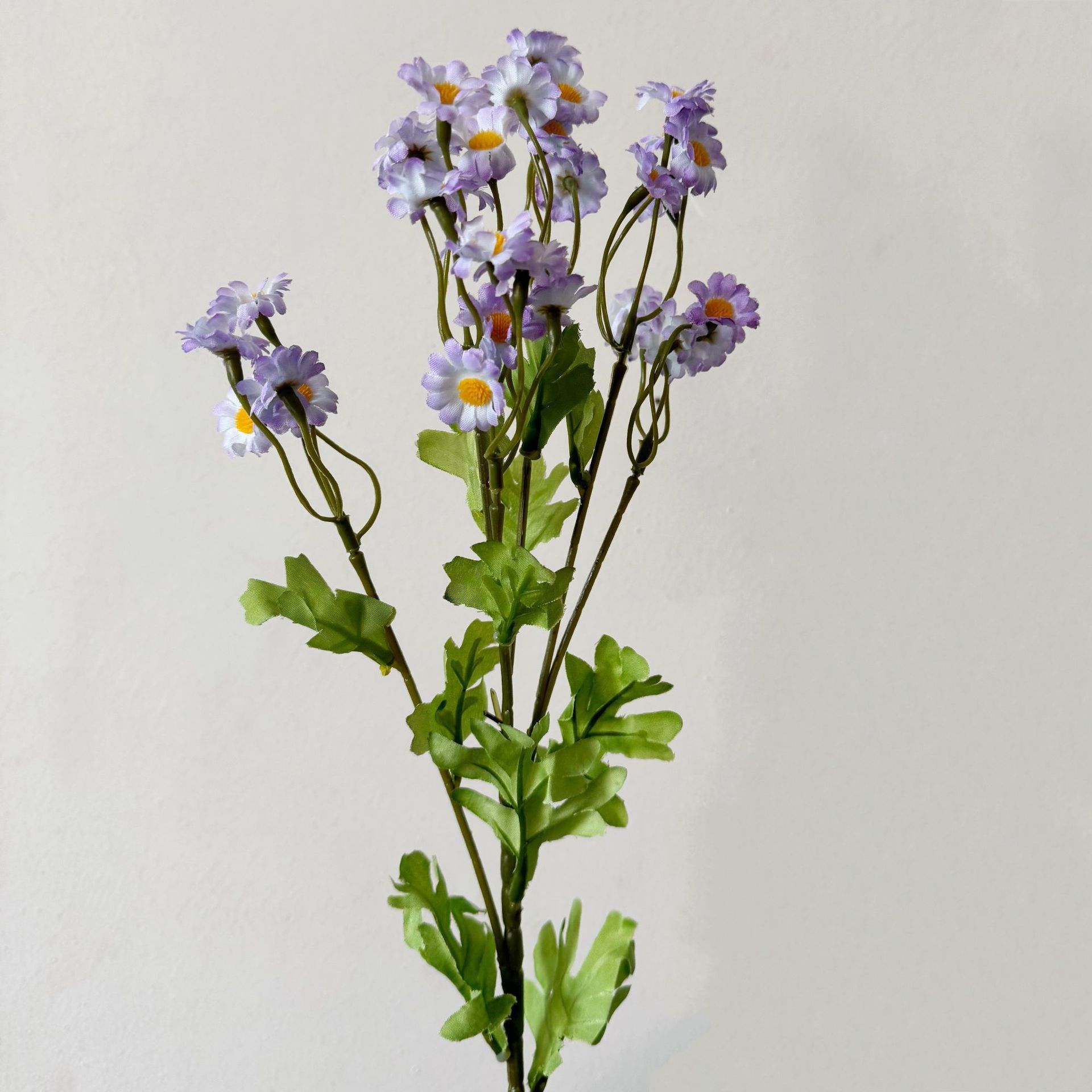 Blu+Purple