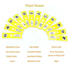 Portaobjetos de Plástico Preparados para Niños - Muestras de Animales, Insectos y Plantas para Microscopio Biológico Monocular - Product Image 5