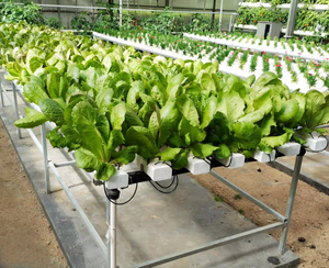 Sistema di Coltivazione Idroponica Verticale NFT, Canale di Coltivazione Commerciale Impilabile <span class=keywords><strong>per</strong></span> la Produzione di Verdure a Foglia Larga ed Erbe Aromatiche - Product Image 2