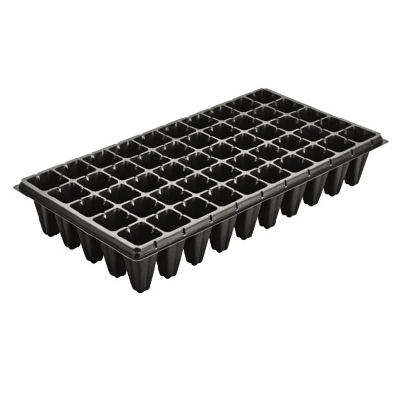 Big Cell Seeding Trays Growing 50
