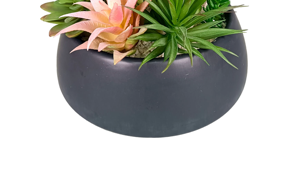 Oh fornitore di arti all'ingrosso decorazione per la casa simulazione di <span class=keywords><strong>piante</strong></span> in vaso artificiali misto <span class=keywords><strong>piante</strong></span> succulente in vaso di ceramica - Product Image 4