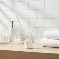 Nouveaux bâtons de diffuseur de fibre de roseau longue durée avec huiles essentielles sans ensembles de diffuseurs de parfum d'arôme liquide
