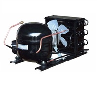 Unidad Condensadora de Compresor de Refrigeración Hermético 110V 1/3HP 1/2HP R290 Ecológico, Repuestos para Refrigerador -20C 18C