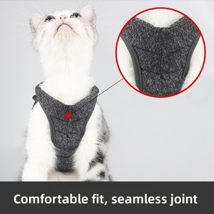 Para <span class=keywords><strong>Amazon</strong></span> Arnés de gato de moda con patrón sólido de tela transpirable y cintas decorativas Correa para mascotas Premium - Product Image 2